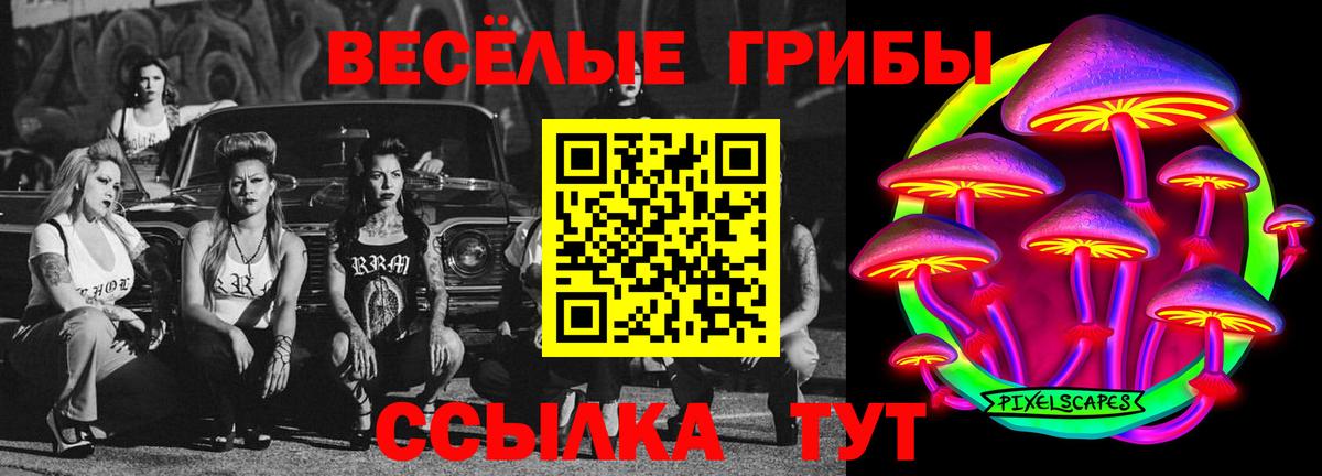 Галлюциногенные грибы мухоморы Мценск